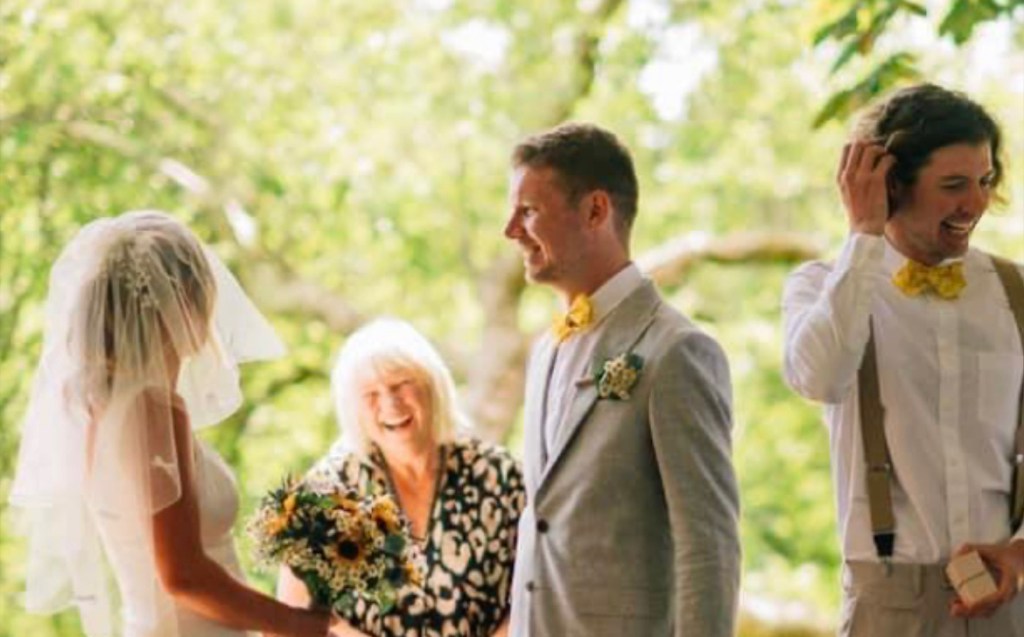 Walled Garden Sunflowers